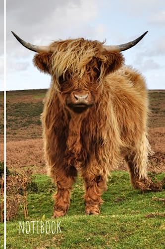 Highland Cow Notebook: Cute Highland Cow Lined Journal, The Perfect Highland Cow Gift for Anyone who Loves Cows and Highland Cattle.