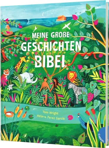 Meine große Geschichten-Bibel: Farbig illustrierte Kinderbibel mit 140 Geschichten von Gabriel Verlag