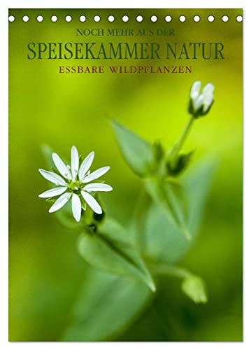 NOCH MEHR AUS DER SPEISEKAMMER NATUR (Tischkalender 2025 DIN A5 hoch), CALVENDO Monatskalender von CALVENDO