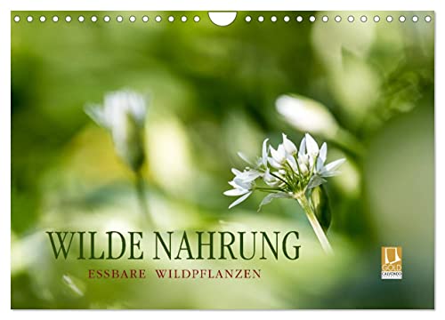 WILDE NAHRUNG (Wandkalender 2025 DIN A4 quer), CALVENDO Monatskalender von CALVENDO