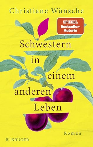 Schwestern in einem anderen Leben: Roman | Inspiriert von einer wahren Begebenheit, erzählt die Bestseller-Autorin berührend von einer jahrzehntelangen Suche nach Geborgenheit