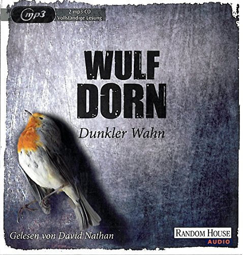 Dunkler Wahn - Wulf Dorn