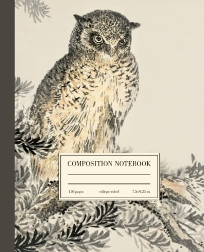 Composition Notebook College Ruled: Owl Vintage Botanical Illustration | Cute Bird Aesthetic Journal For School, College, Office, Work | Wide Lined