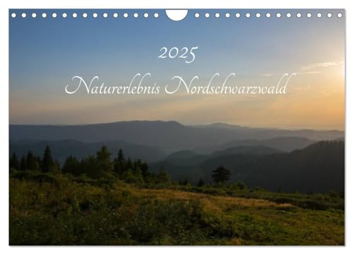 Naturerlebnis Nordschwarzwald (Wandkalender 2025 DIN A4 quer), CALVENDO Monatskalender von CALVENDO