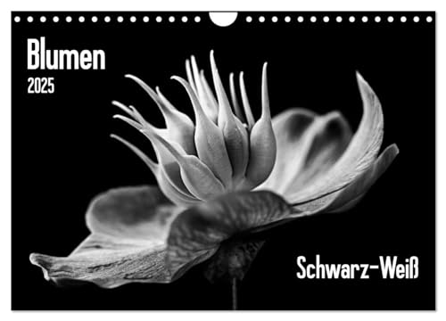 Blumen 2025, Schwarz-Weiß (Wandkalender 2025 DIN A4 quer), CALVENDO Monatskalender von CALVENDO