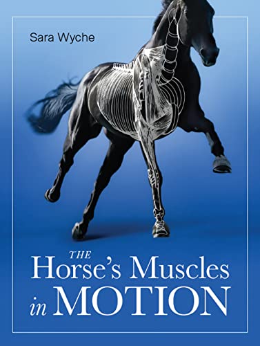 The Horse's Muscles in Motion von The Crowood Press Ltd