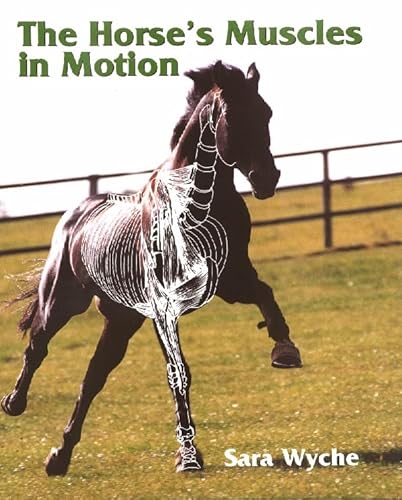 The Horses Muscles in Motion