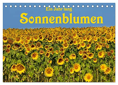 Ein Jahr lang Sonnenblumen (Tischkalender 2025 DIN A5 quer), CALVENDO Monatskalender von CALVENDO