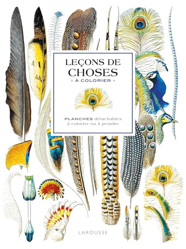 Affiches à colorier : Leçons de choses: Planches détachables à colorier ou à peindre von LAROUSSE
