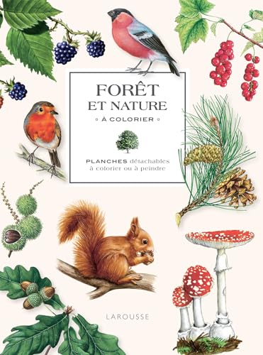 Forêt et nature à colorier: Planches détachables à colorier ou à peindre von LAROUSSE