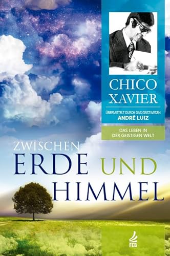 Zwischen Erde und Himmel: Das Leben in der Geistigen Welt