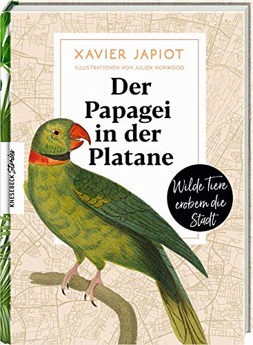 Der Papagei in der Platane: Wilde Tiere erobern die Stadt (Knesebeck Stories)