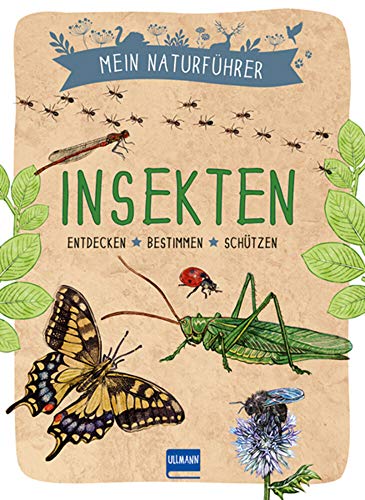 Naturführer - Insekten: Entdecken · bestimmen · schützen von Ullmann Medien GmbH