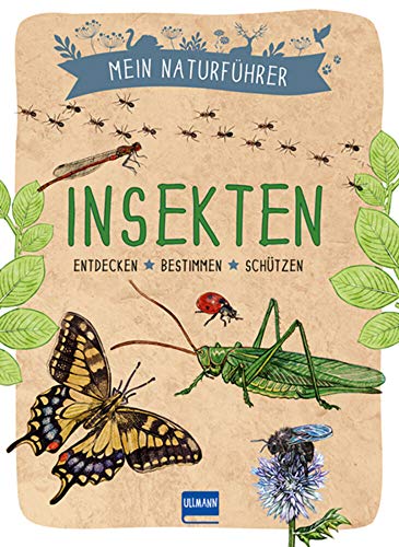 Naturführer - Insekten: Entdecken · bestimmen · schützen von ULLMANN MEDIEN