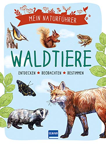 Naturführer - Waldtiere: Beobachten · verstehen · schützen von ULLMANN MEDIEN
