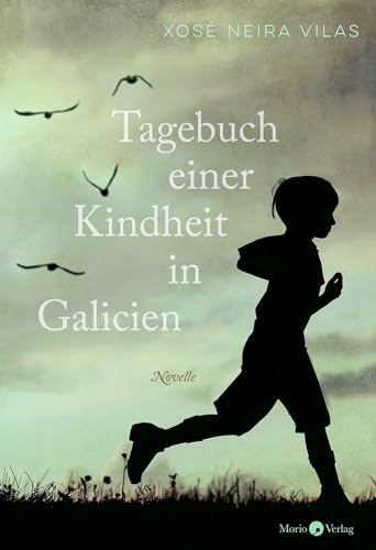 Tagebuch einer Kindheit in Galicien: Novelle
