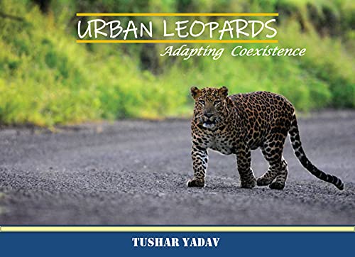 Urban Leopards, Adapting coexistence von White Falcon Publishing