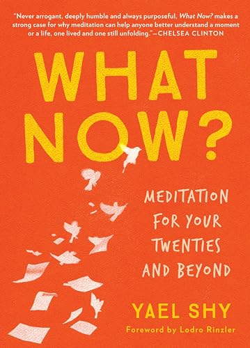 What Now?: Meditation for Your Twenties and Beyond