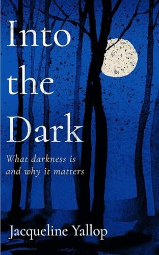 Into the Dark: What darkness is and why it matters von Icon Books