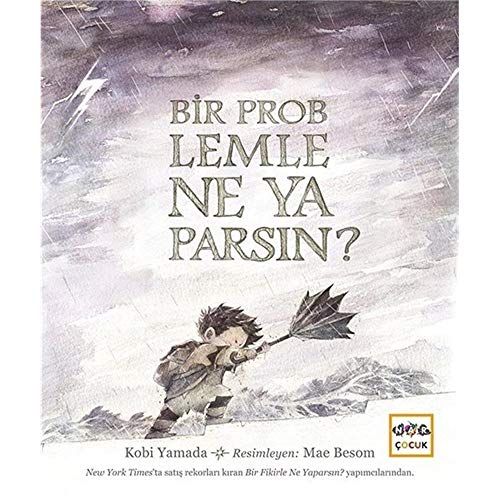 Bir Problemle Ne Yaparsin Bir Problemle Ne Yaparsin