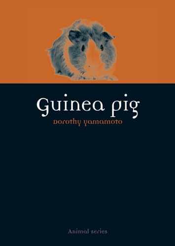 Guinea Pig (Animal)
