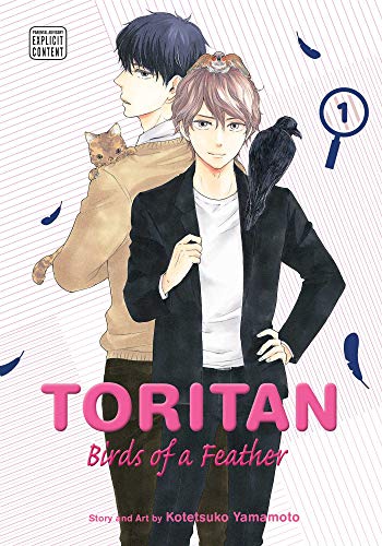 Toritan: Birds of a Feather, Vol. 1: Volume 1 (TORITAN BIRDS OF A FEATHER GN, Band 1)