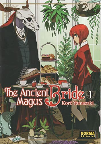 THE ANCIENT MAGUS BRIDE 01 THE ANCIENT MAGUS BRIDE 01