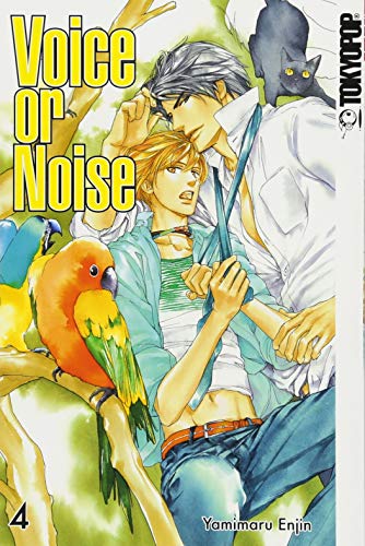 Voice or Noise 04