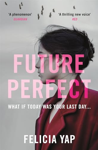 Future Perfect: The Most Exciting High-Concept Novel of the Year