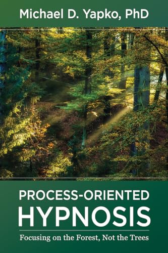 Process-oriented Hypnosis: Focusing on the Forest, Not the Trees von W. W. Norton & Company