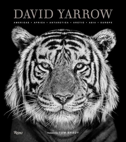 David Yarrow Photography: Americas Africa Antarctica Arctic Asia Europe