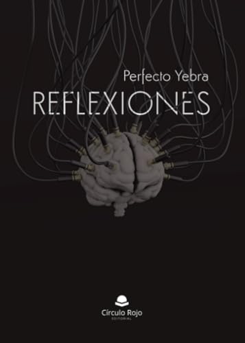 Reflexiones Reflexiones von Grupo Editorial Círculo Rojo SL