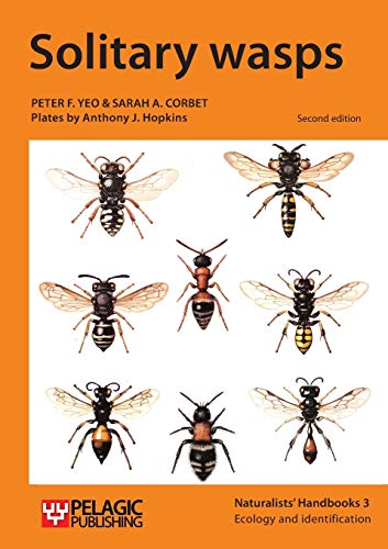 Solitary wasps (Naturalists' Handbooks, 3, Band 3)
