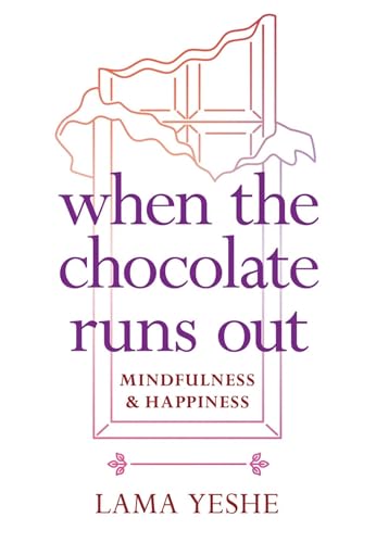When the Chocolate Runs Out: Mindfulness & Happiness von Wisdom Publications