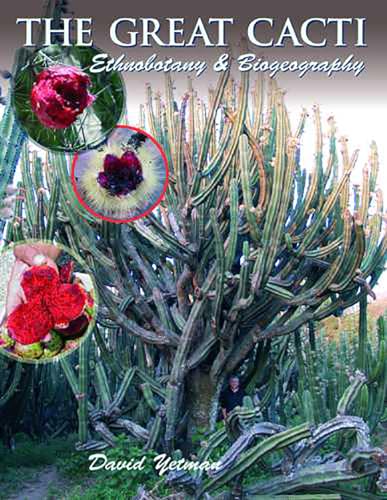 The Great Cacti: Ethnobotany & Biogeography: Ethnobotany and Biogeography (Southwest Center Series)