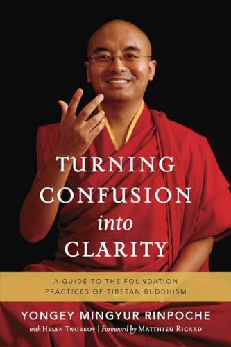 Turning Confusion into Clarity: A Guide to the Foundation Practices of Tibetan Buddhism von Snow Lion