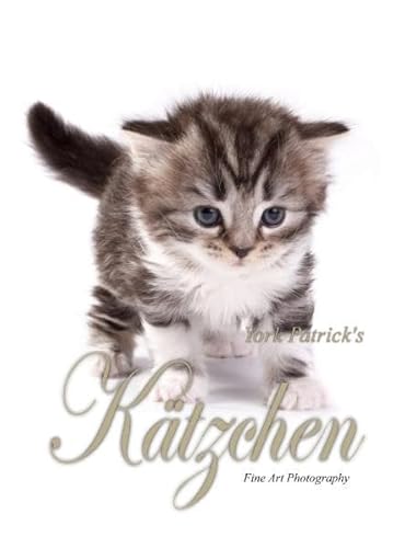 Kätzchen - Fine Art Photography Kätzchen - Fine Art Photography