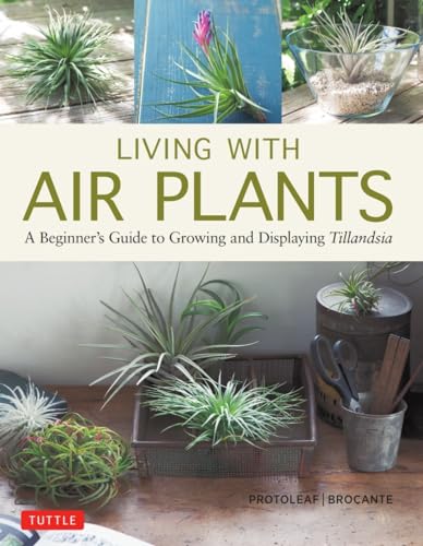 Living With Air Plants: A Beginner's Guide to Growing and Displaying Tillandsia von Tuttle Publishing