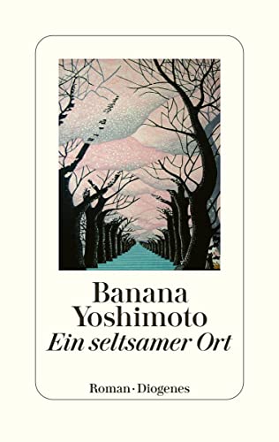 Ein seltsamer Ort von Diogenes Verlag AG