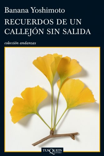 Recuerdos de un callejón sin salida (Andanzas, Band 762)