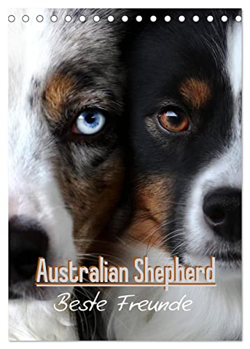 Australian Shepherd - Beste Freunde (Tischkalender 2024 DIN A5 hoch), CALVENDO Monatskalender von CALVENDO