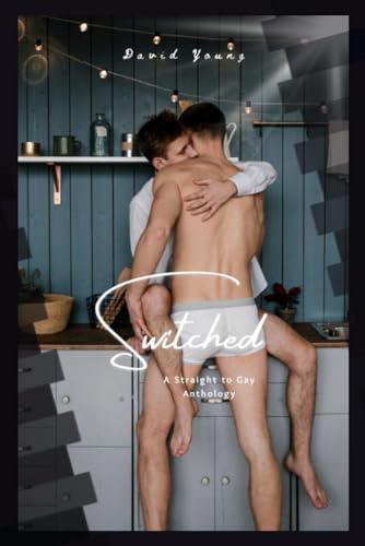 Switch: A Striaght to Gay Anthology von Independently published