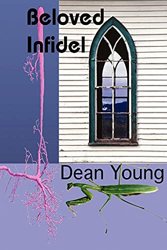 Beloved Infidel Beloved Infidel von Hollyridge Press