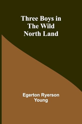 Three Boys in the Wild North Land von Alpha Edition