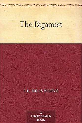 The Bigamist von Anson Street Press