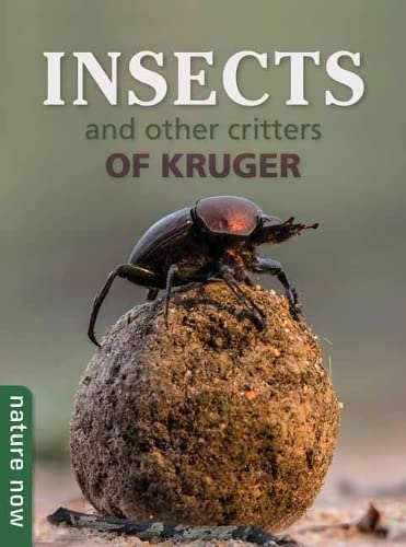 Insects and other Critters of Kruger (Nature Now) von Struik Nature