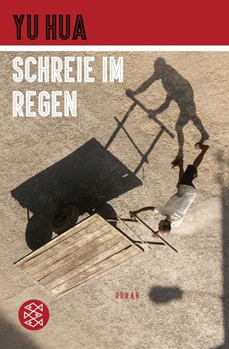 Schreie im Regen: Roman