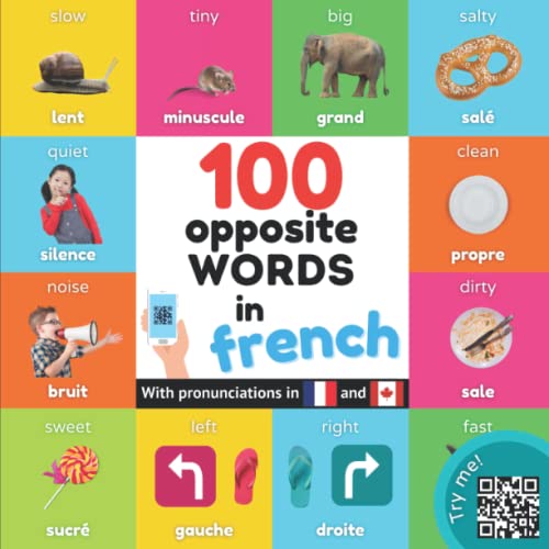 100 opposite words in french: Bilingual picture book for kids: english / french with pronunciations (Learn french) von YukiBooks
