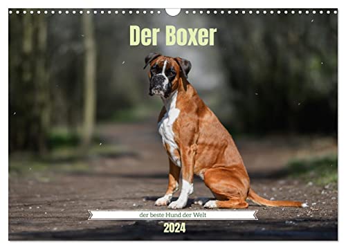 Der Boxer, der beste Hund der Welt (Wandkalender 2024 DIN A3 quer), CALVENDO Monatskalender