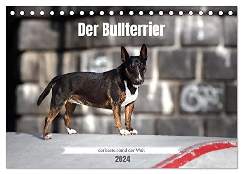 Der Bullterrier der beste Hund der Welt (Tischkalender 2024 DIN A5 quer), CALVENDO Monatskalender von CALVENDO